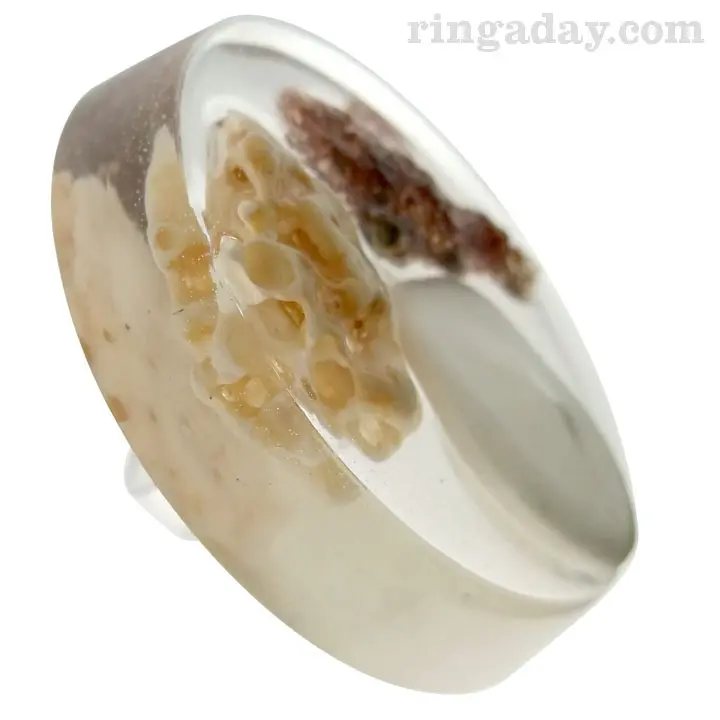 sponge shells and resin ring