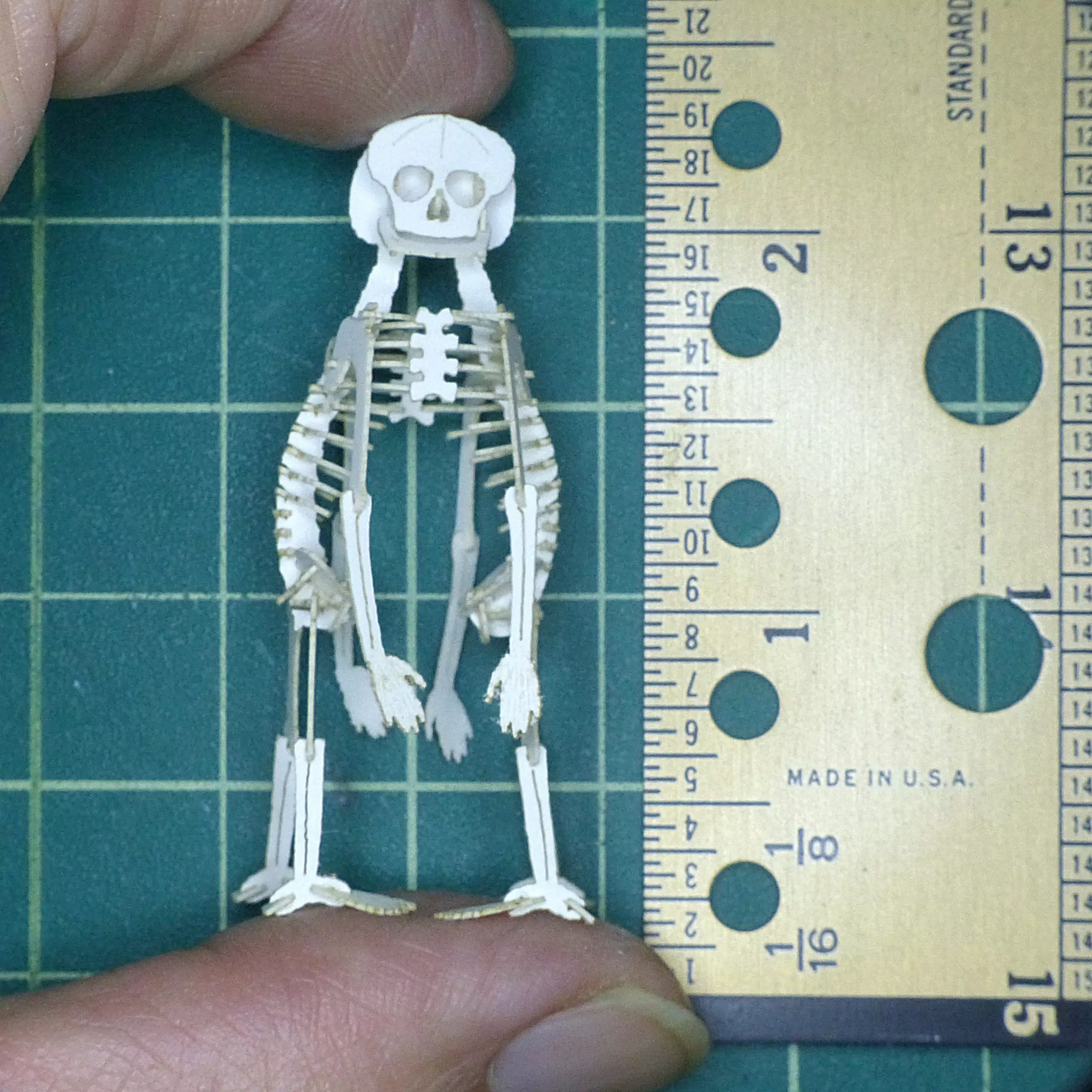 Build Your Own Cephalothoracopagus teratology miniature skeleton model - Image 4