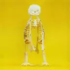 Cephalothoracopagus 3D Instructions