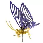 Butterfly 3D instructions