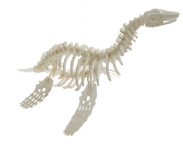Plesiosaur 3D instructions