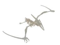 Pterodactyl 3D instructions