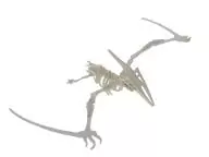 Pterodactyl 3D instructions
