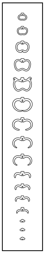 Minotaur Rib Order