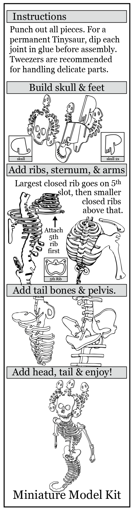 Medusa Instructions