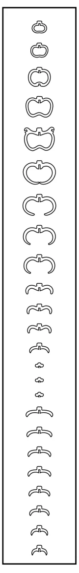 Mermaid Rib Order